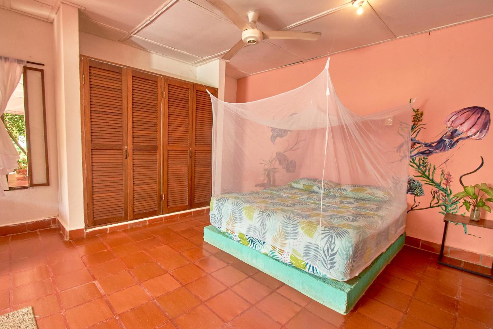 Jaba Jan Hostal Palomino Extérieur photo